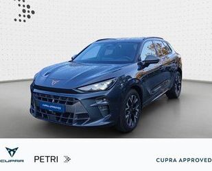 Cupra Terramar Gebrauchtwagen