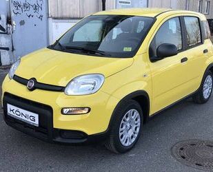 Fiat Panda Gebrauchtwagen