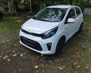Kia Picanto Gebrauchtwagen