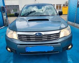 Subaru Forester Gebrauchtwagen