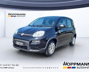 Fiat Panda Gebrauchtwagen