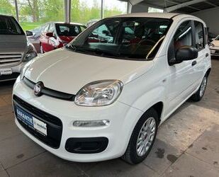 Fiat Panda Gebrauchtwagen