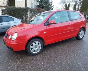 VW Polo Gebrauchtwagen