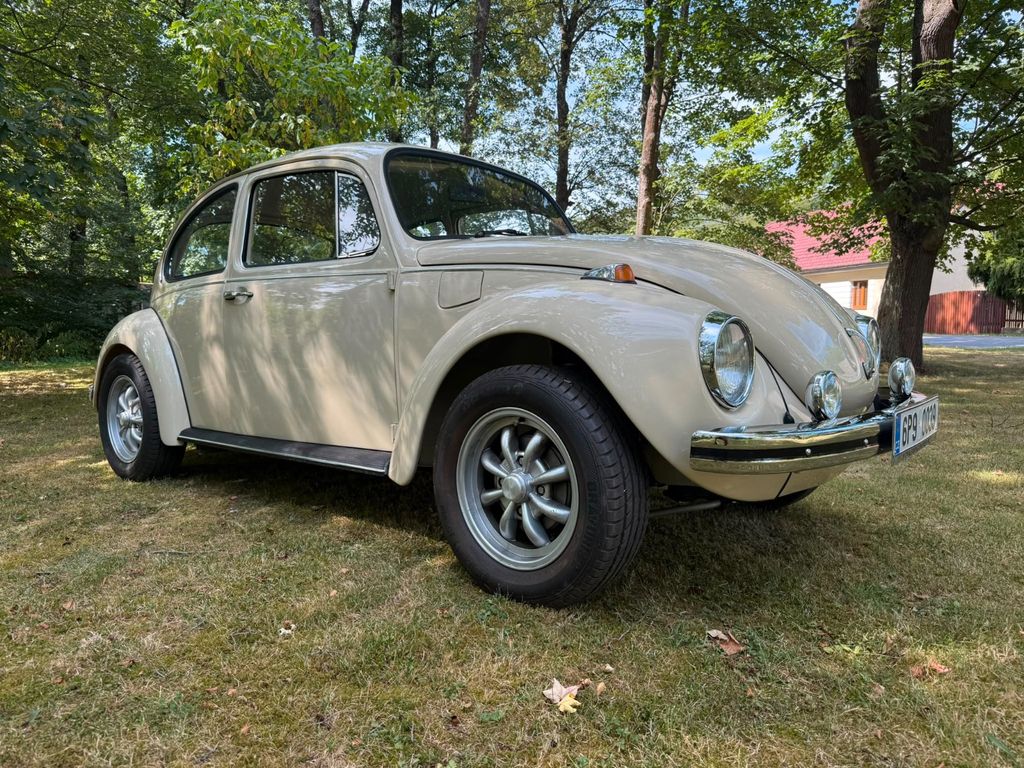 Beetle