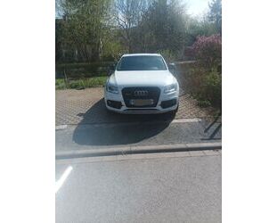 Audi SQ5 Gebrauchtwagen
