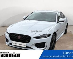 Jaguar XE Gebrauchtwagen