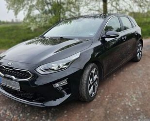 Kia ceed / Ceed Gebrauchtwagen