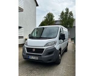 Fiat Ducato Gebrauchtwagen