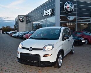Fiat Panda Gebrauchtwagen