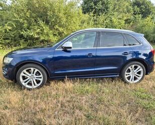 Audi SQ5 Gebrauchtwagen
