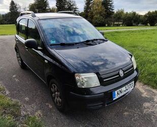 Fiat Panda Gebrauchtwagen