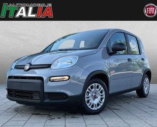 Fiat Panda Gebrauchtwagen