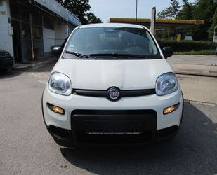 Fiat Panda Gebrauchtwagen