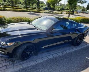 Ford Mustang Gebrauchtwagen