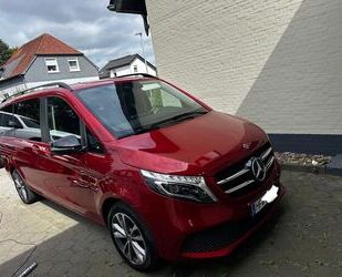Mercedes-Benz V 250 Gebrauchtwagen