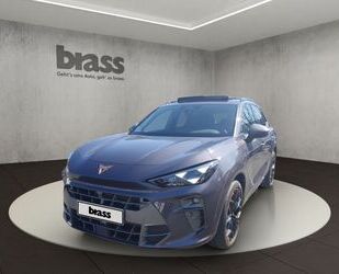 Cupra Terramar Gebrauchtwagen