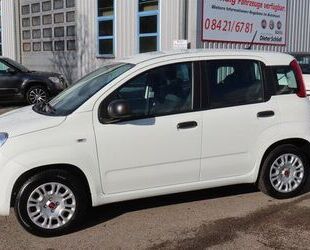 Fiat Panda Gebrauchtwagen
