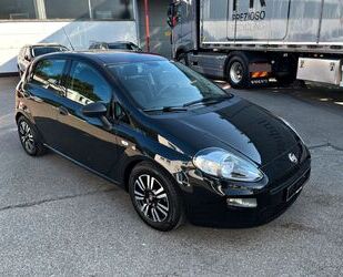 Fiat Punto Gebrauchtwagen