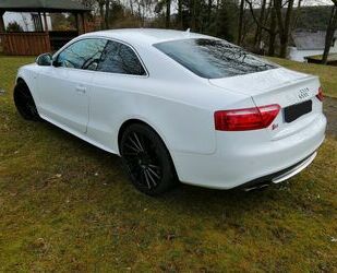 Audi S5 Gebrauchtwagen