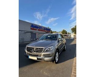 Mercedes-Benz ML 350 Gebrauchtwagen