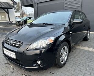 Kia ceed / Ceed Gebrauchtwagen