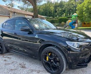 Alfa Romeo Stelvio Gebrauchtwagen