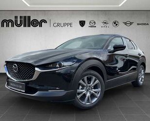 Mazda CX-30 Gebrauchtwagen