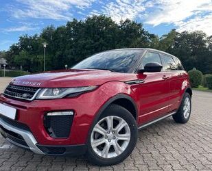 Land Rover Range Rover Evoque Gebrauchtwagen