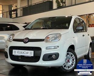 Fiat Panda Gebrauchtwagen