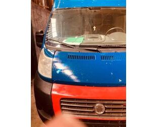 Fiat Ducato Gebrauchtwagen