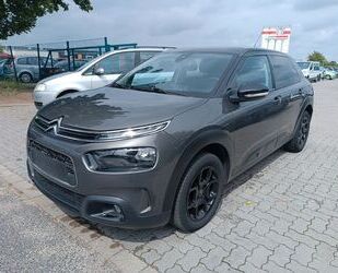 Citroen C4 Cactus Gebrauchtwagen