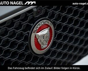Jaguar F-Pace Gebrauchtwagen