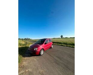 Fiat Panda Gebrauchtwagen