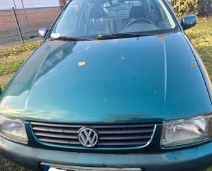 VW Polo Gebrauchtwagen