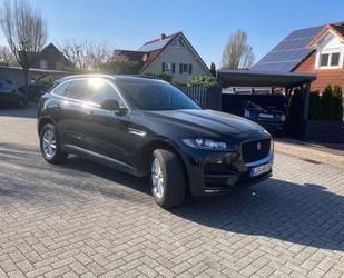 Jaguar F-Pace Gebrauchtwagen