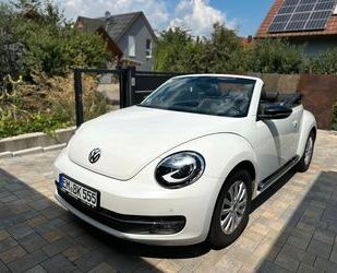 VW Beetle Gebrauchtwagen