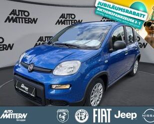Fiat Panda Gebrauchtwagen