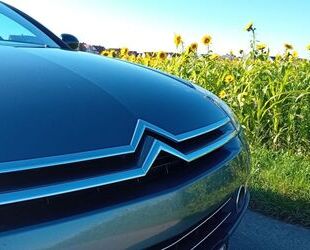 Citroen C6 Gebrauchtwagen