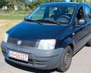 Fiat New Panda Gebrauchtwagen