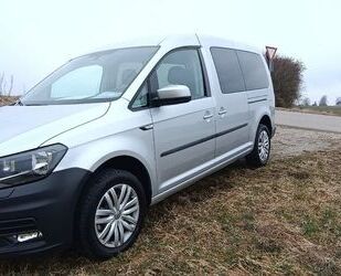 VW Caddy Maxi Gebrauchtwagen