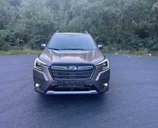 Subaru Forester Gebrauchtwagen