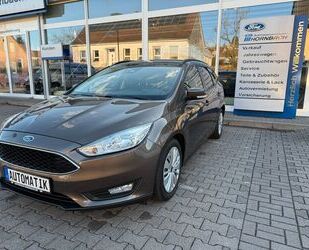 Ford Focus Gebrauchtwagen
