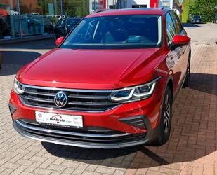 VW Tiguan Gebrauchtwagen