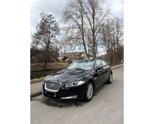 Jaguar XF Gebrauchtwagen