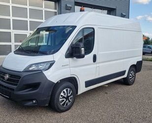 Fiat Ducato Gebrauchtwagen