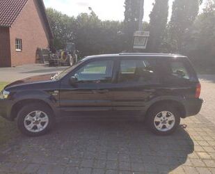 Ford Maverick Gebrauchtwagen