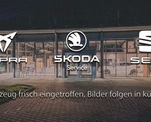 Seat Tarraco Gebrauchtwagen