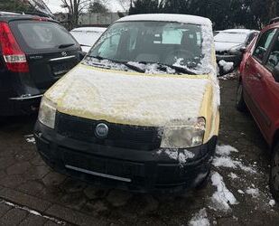 Fiat Panda Gebrauchtwagen