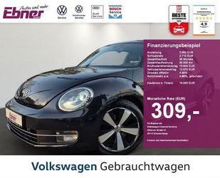 VW Beetle Gebrauchtwagen