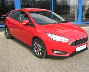 Ford Focus Gebrauchtwagen